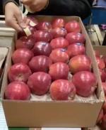 سیب قرمز عمده